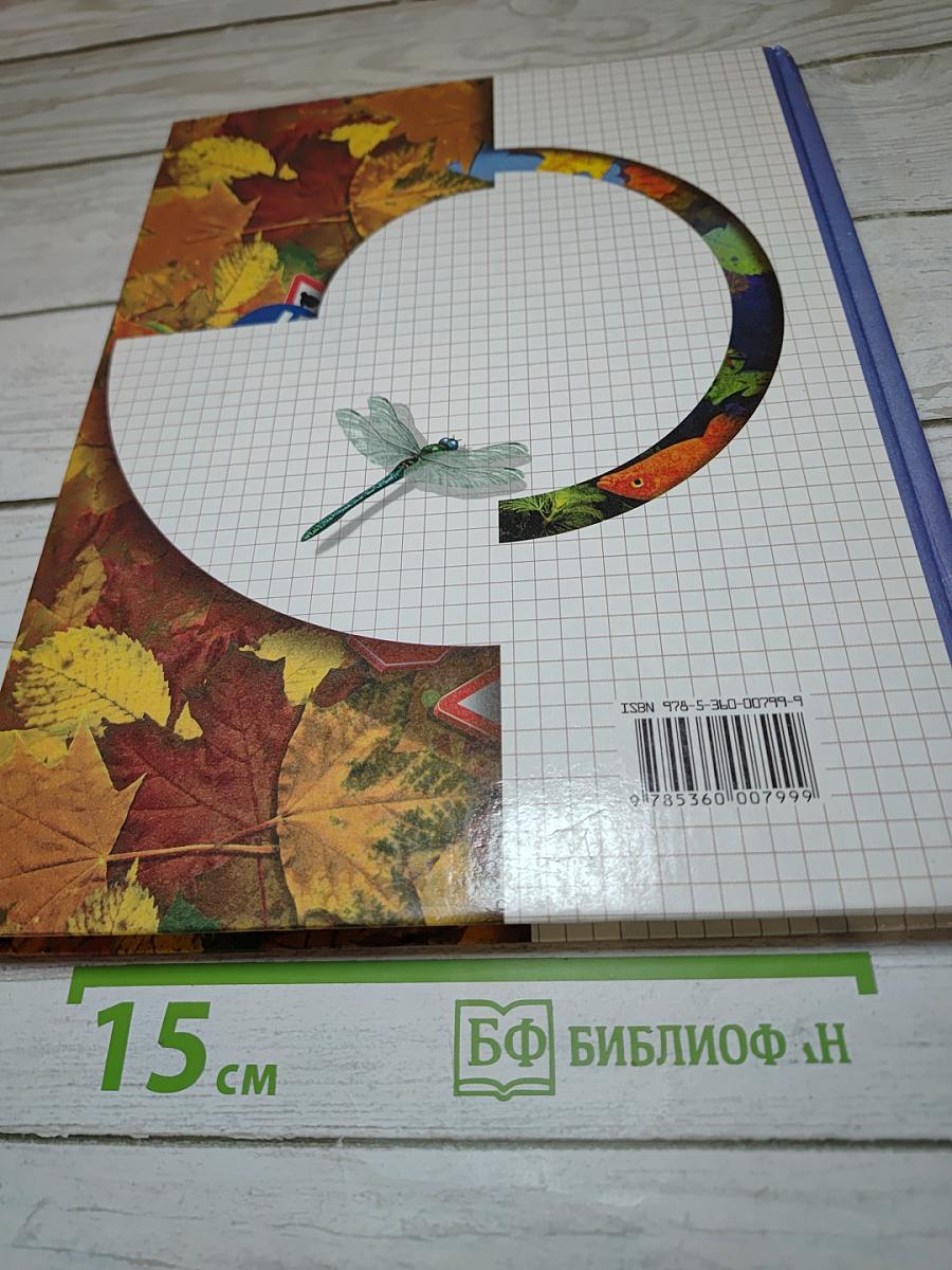 Окружающий мир 1 класс
