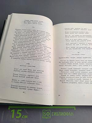 Собрание сочинений. Том 11. Стихотворения, поэмы, литературные и житейские воспоминания, переводы