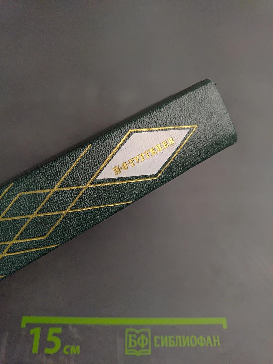 Собрание сочинений. Том 11. Стихотворения, поэмы, литературные и житейские воспоминания, переводы