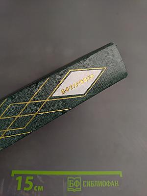 Собрание сочинений. Том 11. Стихотворения, поэмы, литературные и житейские воспоминания, переводы