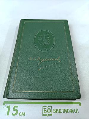 Собрание сочинений. Том второй. Рудин. Дворянское гнездо