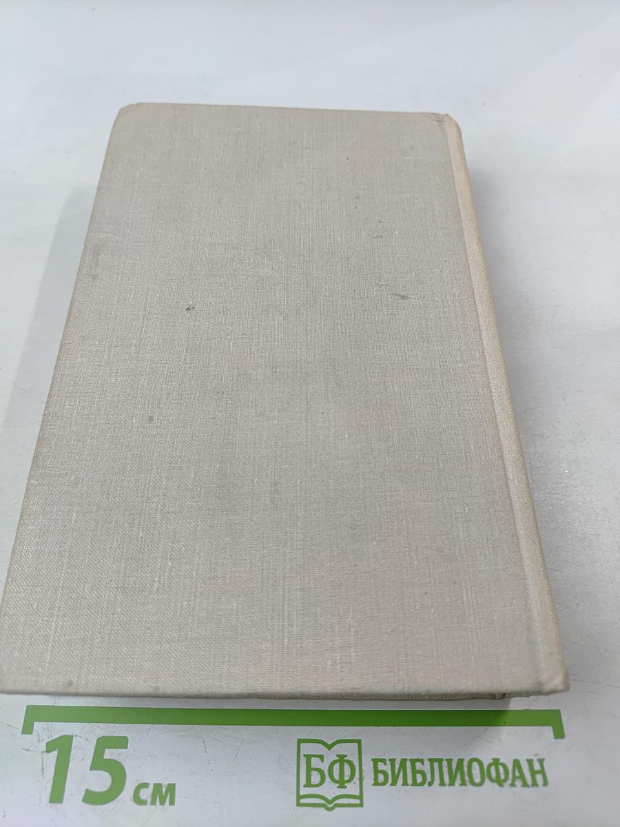 Царскосельское утро