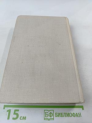 Царскосельское утро