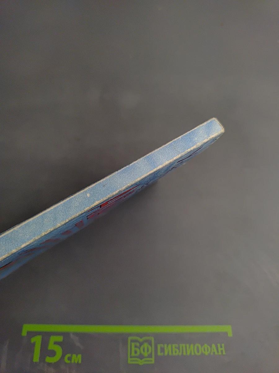 Устройство и дизайн аквариума