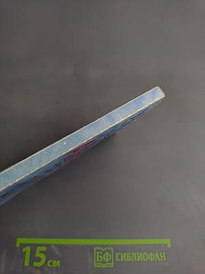 Устройство и дизайн аквариума