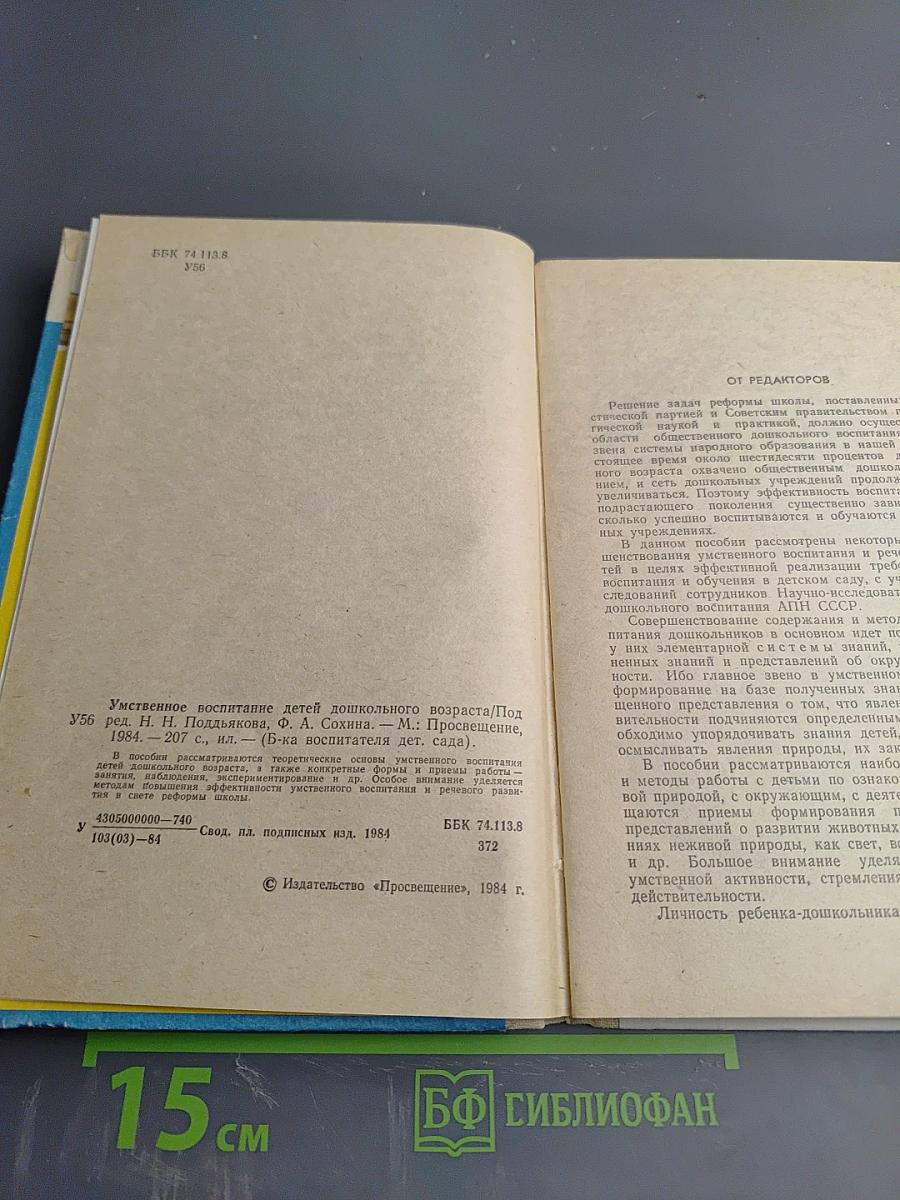 Умственное воспитание детей дошкольного возраста