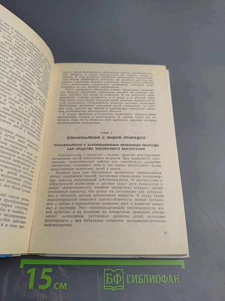 Умственное воспитание детей дошкольного возраста