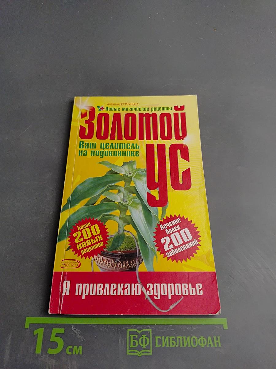 Золотой ус: Ваш целитель на подоконнике