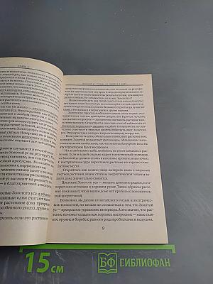 Золотой ус: Ваш целитель на подоконнике