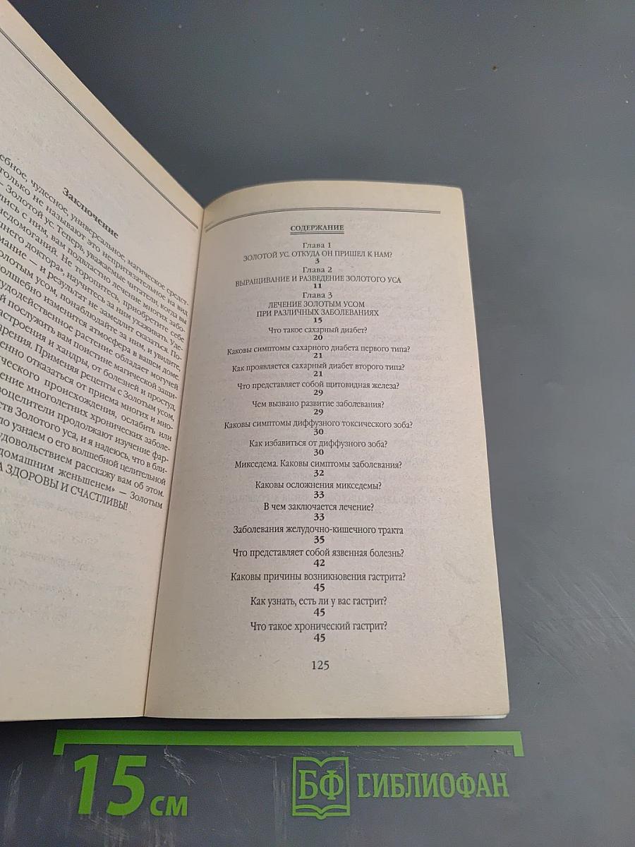 Золотой ус: Ваш целитель на подоконнике