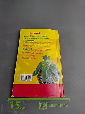 Золотой ус: Ваш целитель на подоконнике