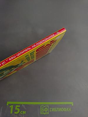 Золотой ус: Ваш целитель на подоконнике