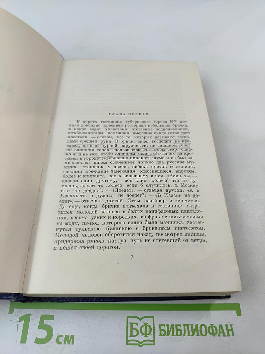 Мертвые души. Том пятый