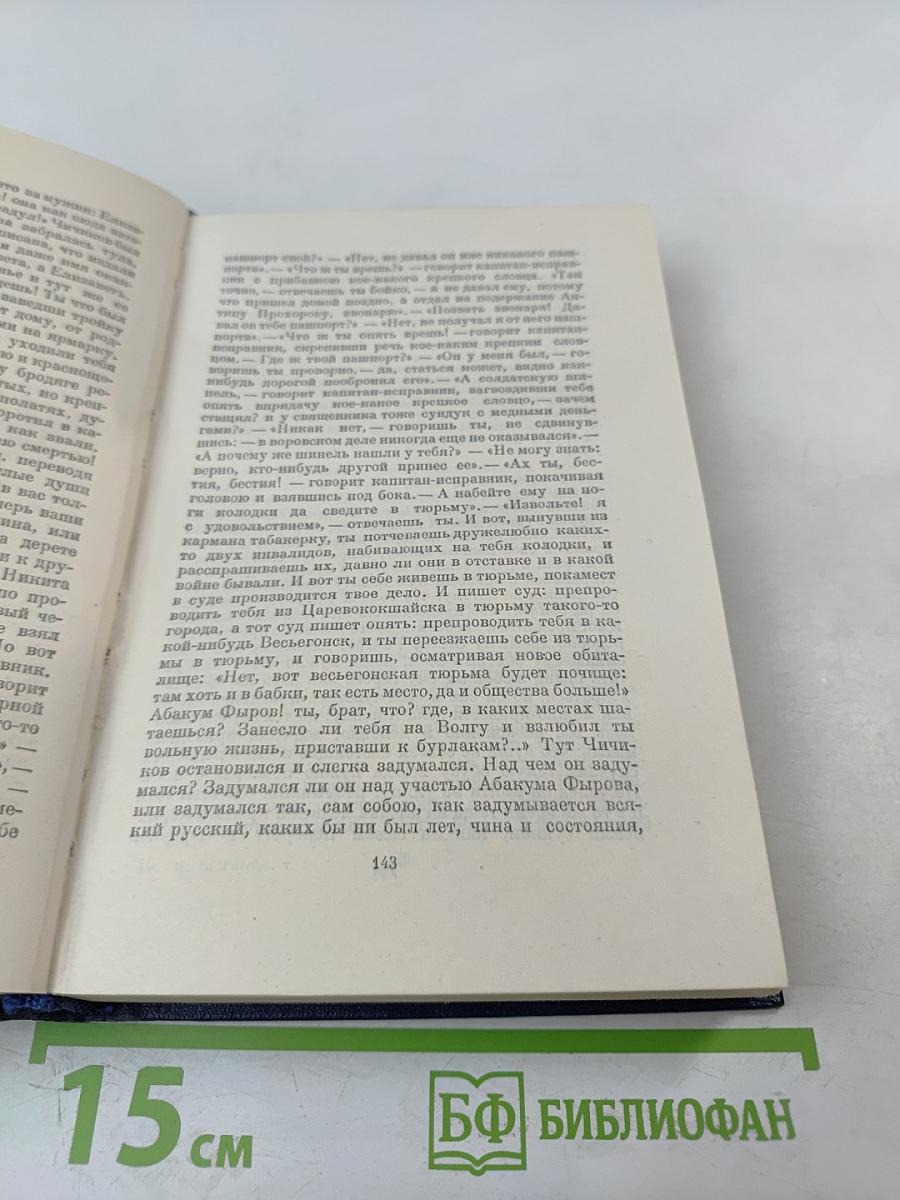 Мертвые души. Том пятый