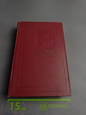 Очарованная душа. Книга четвертая: Провозвестница (Том второй, Роды)