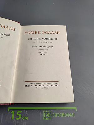 Очарованная душа. Книга четвертая: Провозвестница (Том второй, Роды)