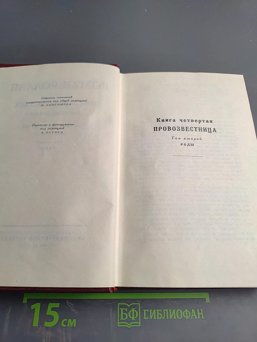Очарованная душа. Книга четвертая: Провозвестница (Том второй, Роды)
