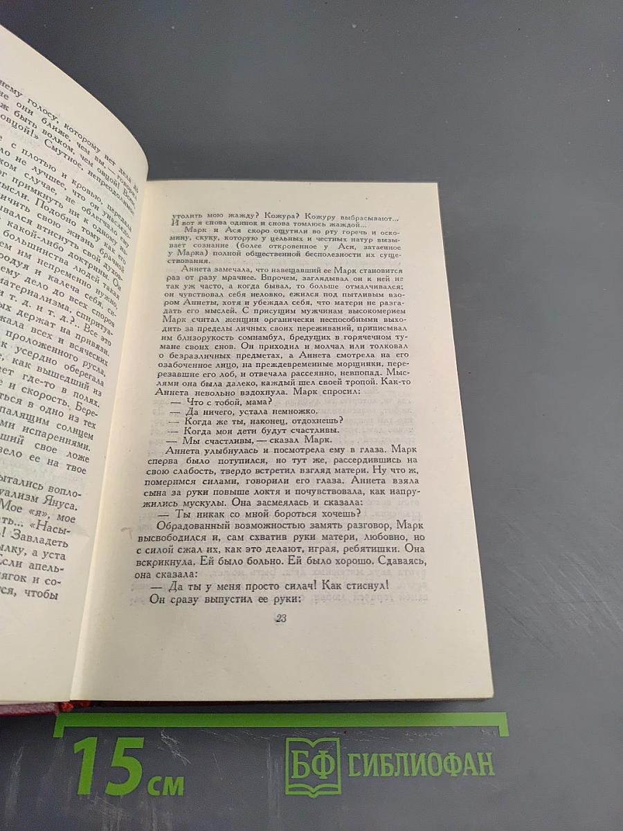Очарованная душа. Книга четвертая: Провозвестница (Том второй, Роды)