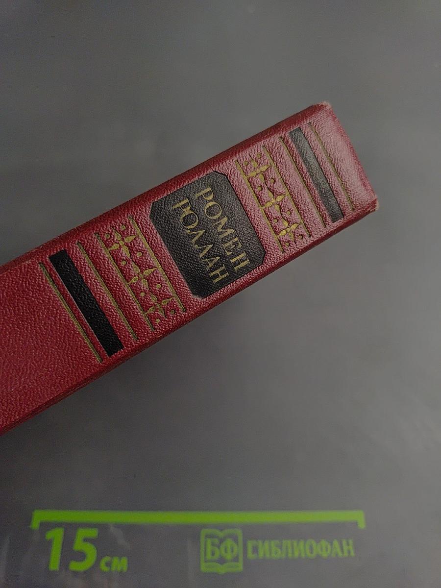 Очарованная душа. Книга четвертая: Провозвестница (Том второй, Роды)