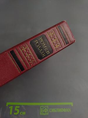 Очарованная душа. Книга четвертая: Провозвестница (Том второй, Роды)