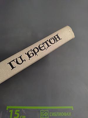 Женщины и короли. От Анны де Боже до Марии Туше. Том 2