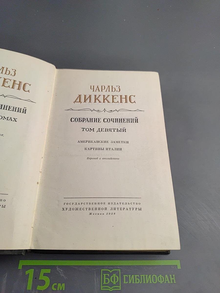 Собрание сочинений Том девятый: Американские заметки. Картины Италии
