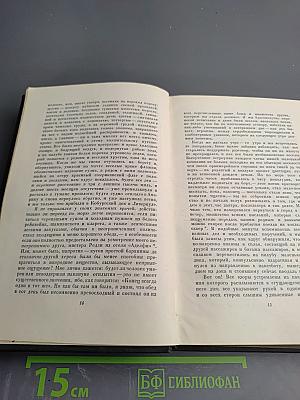 Собрание сочинений Том девятый: Американские заметки. Картины Италии