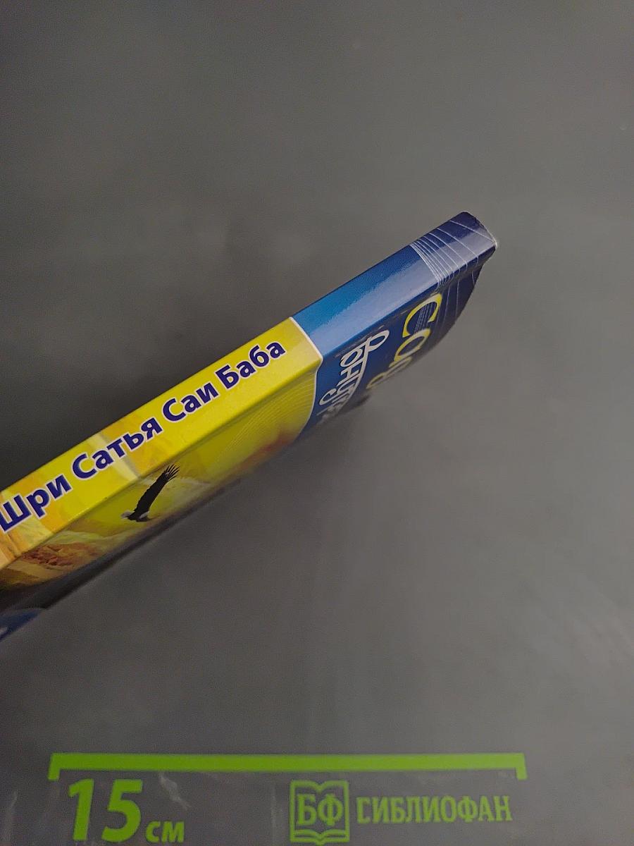 Садхана Внутренний путь