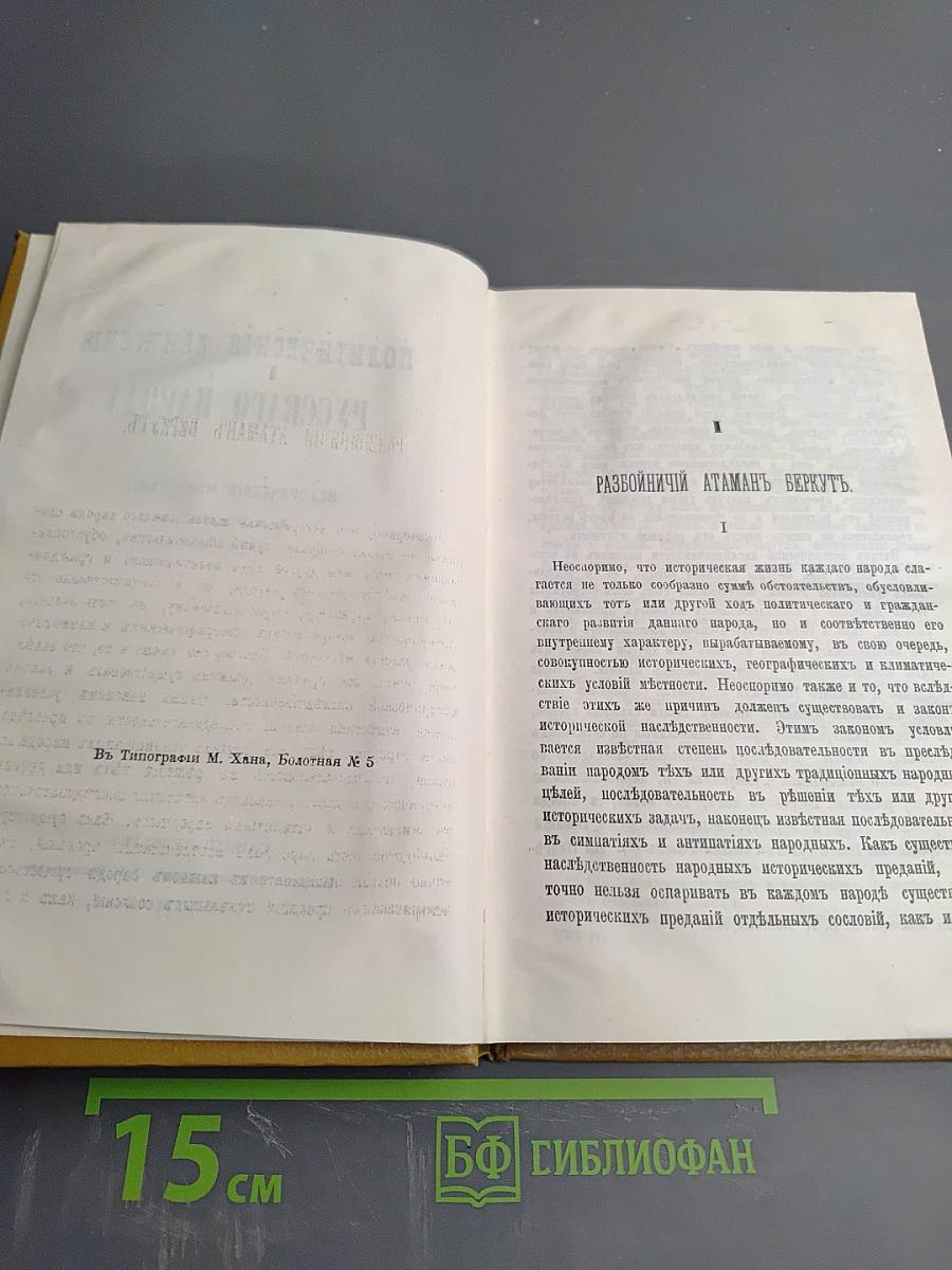 Разбойники России