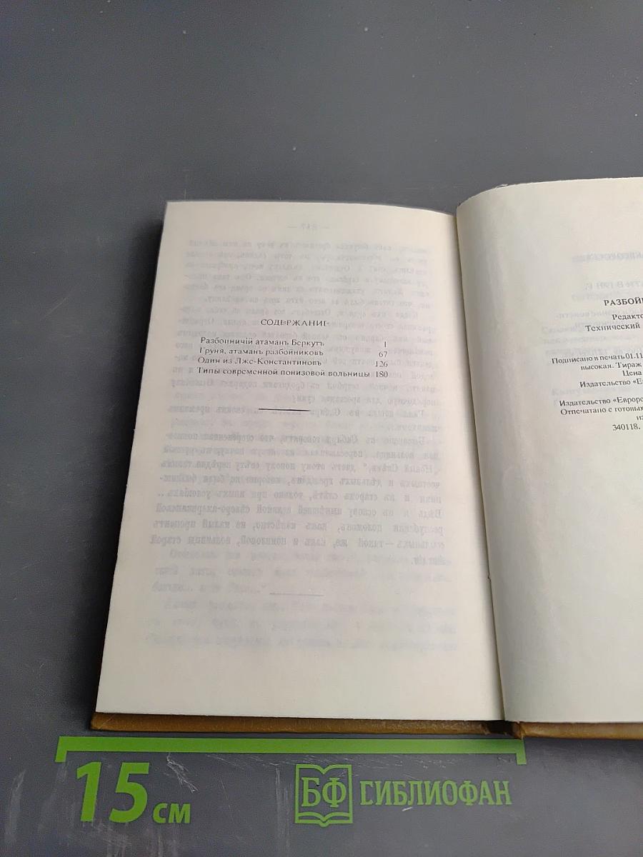 Разбойники России