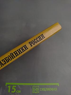 Разбойники России