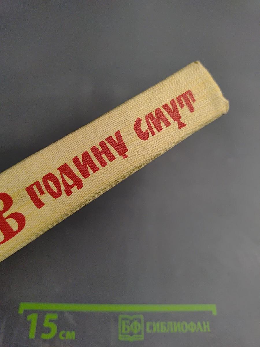 В годину смут