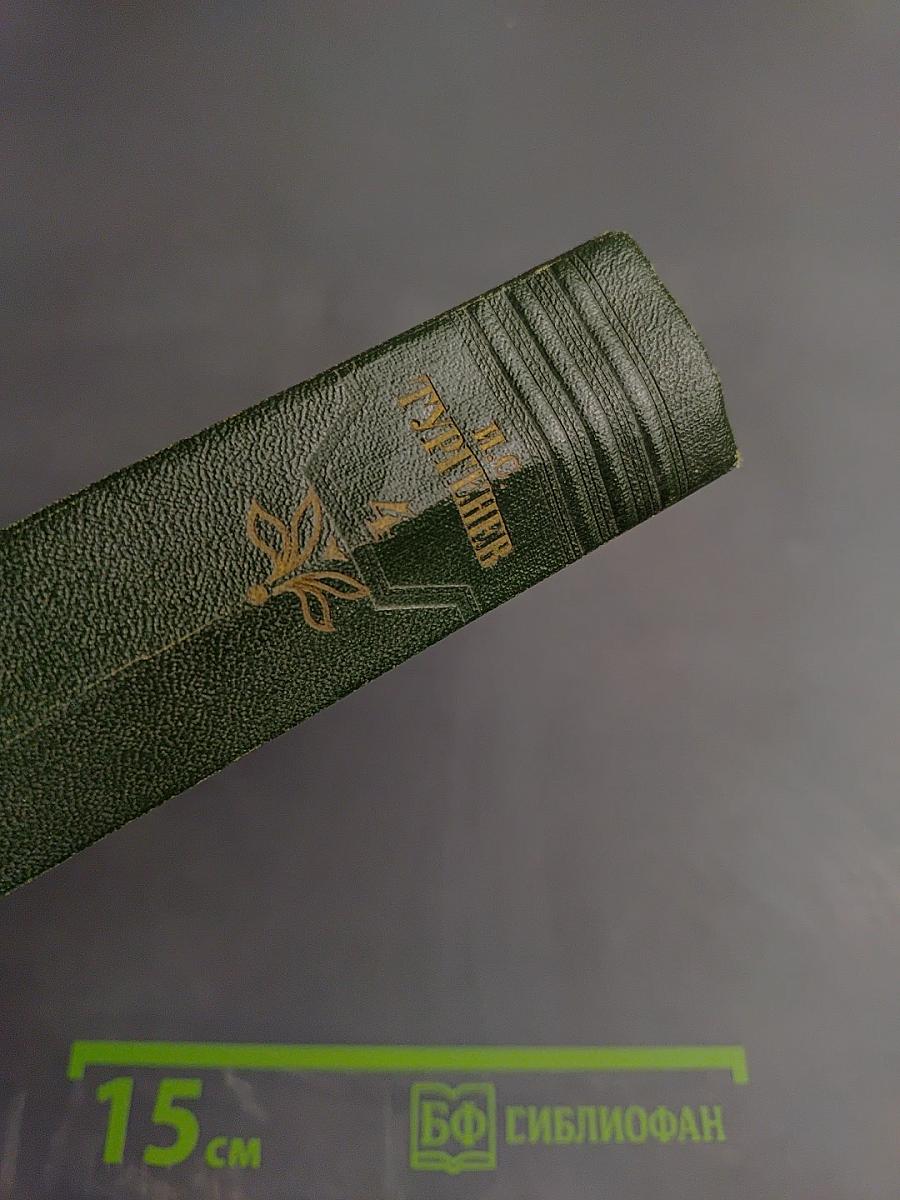 Собрание сочинений. Том четвертый. Дым. Новь