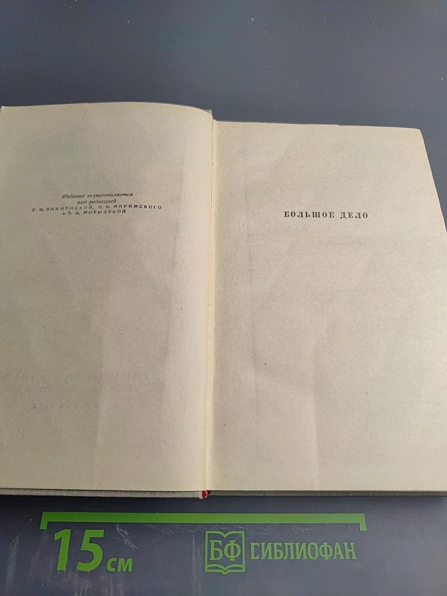 Сочинения. Том пятый: Большое дело. Серьёзная жизнь