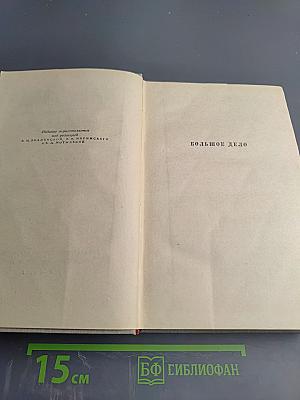 Сочинения. Том пятый: Большое дело. Серьёзная жизнь