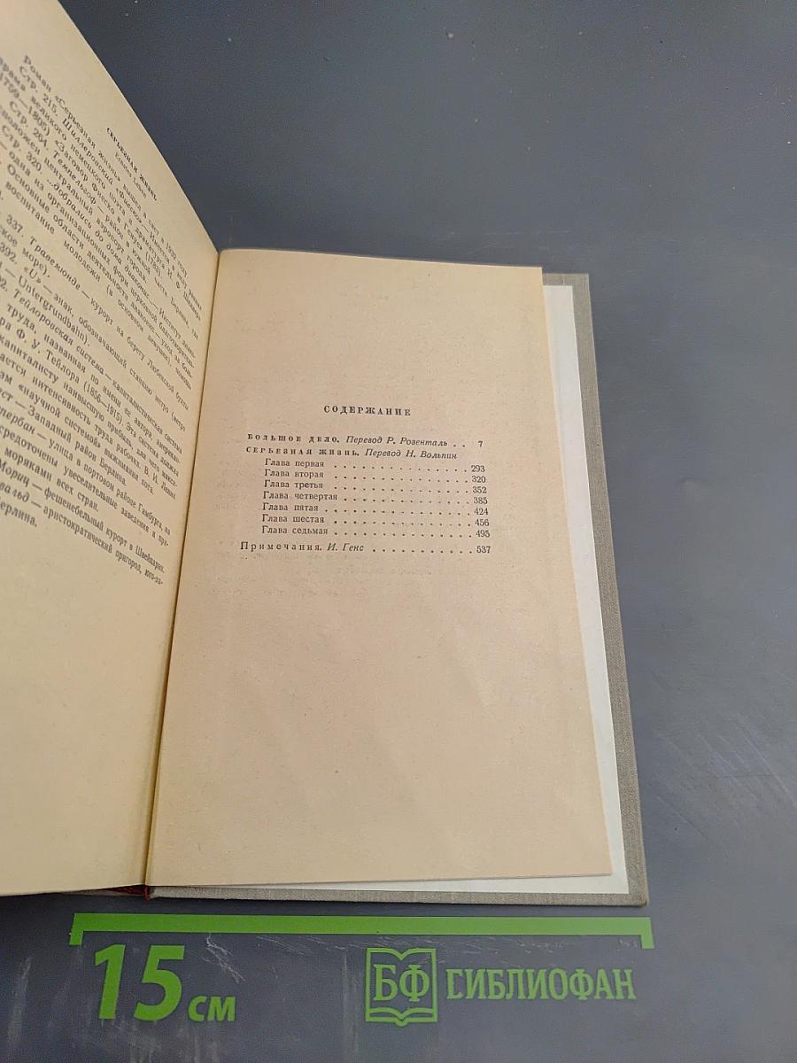 Сочинения. Том пятый: Большое дело. Серьёзная жизнь