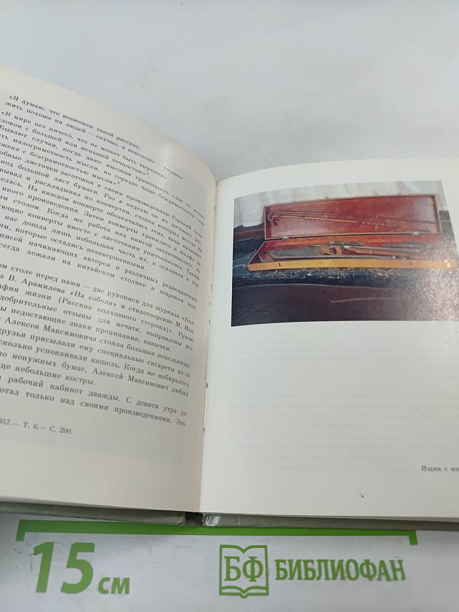 Дом у Никитских ворот. Путеводитель по Музею-квартире А. М. Горького в Москве