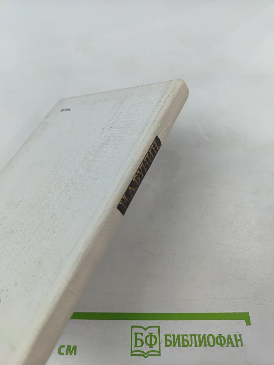 Свет незакатный