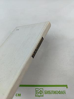 Свет незакатный