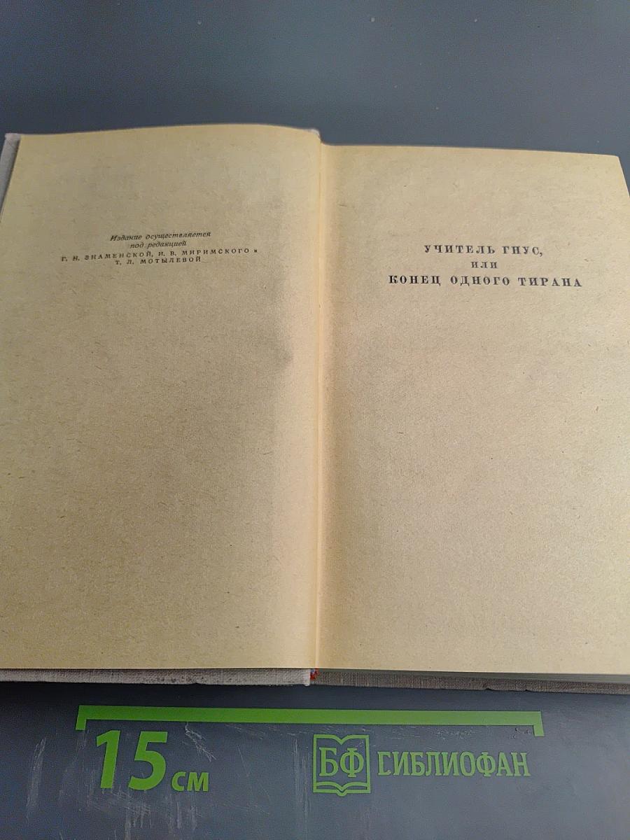 Сочинения. Том второй: Учитель Гнус, или Конец одного тирана; В маленьком городе