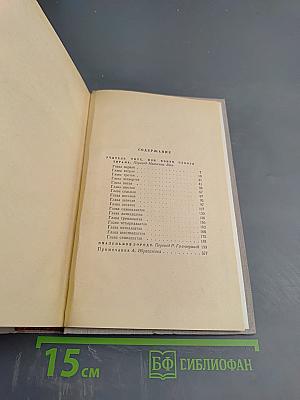 Сочинения. Том второй: Учитель Гнус, или Конец одного тирана; В маленьком городе