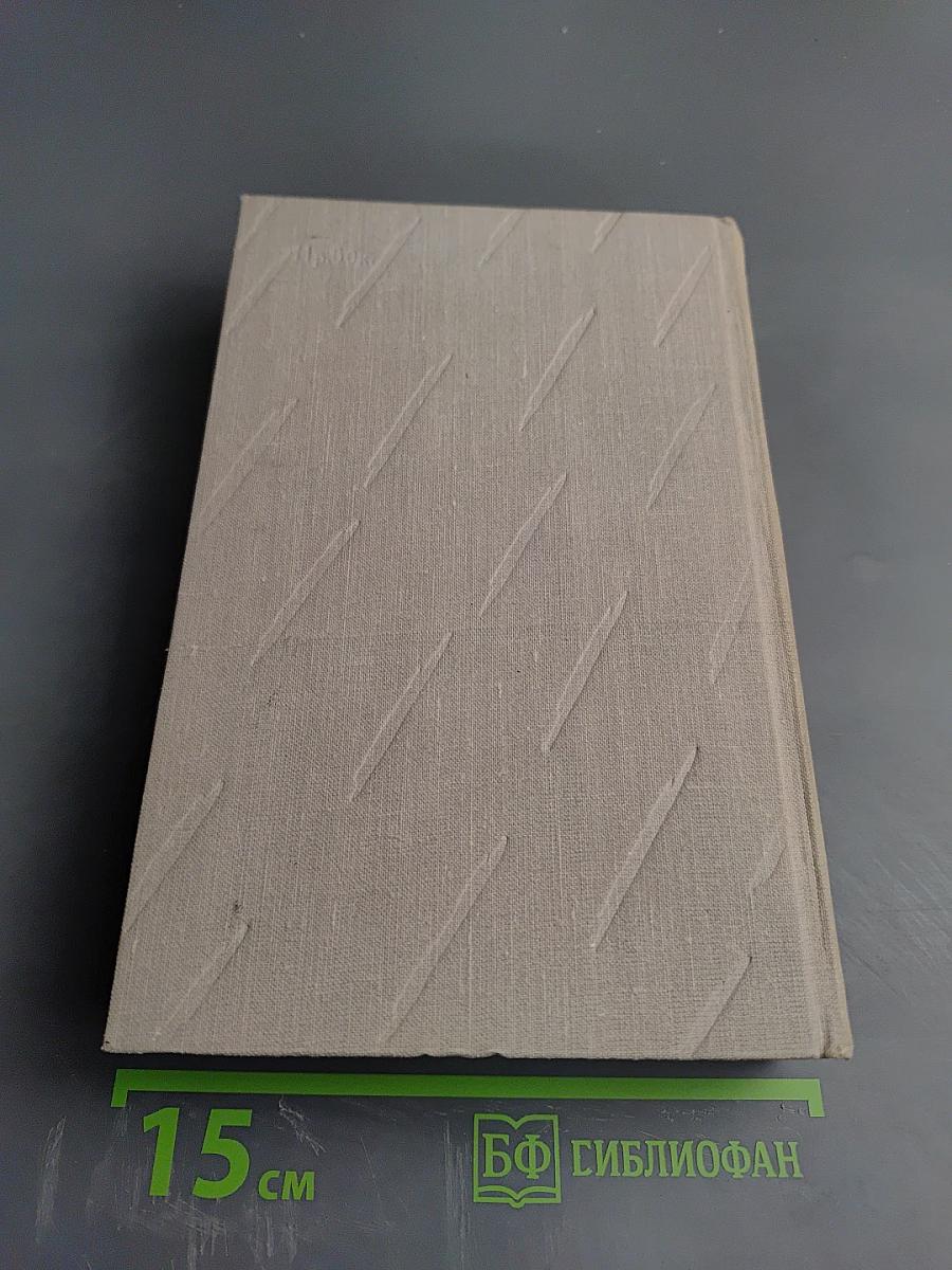 Сочинения. Том второй: Учитель Гнус, или Конец одного тирана; В маленьком городе