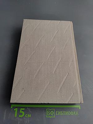 Сочинения. Том второй: Учитель Гнус, или Конец одного тирана; В маленьком городе