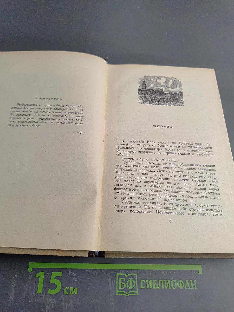 Каменных дел мастер