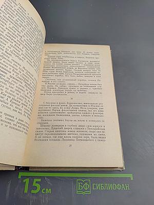 Каменных дел мастер