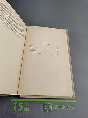 Каменных дел мастер