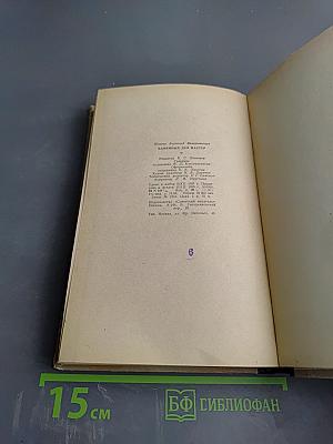 Каменных дел мастер