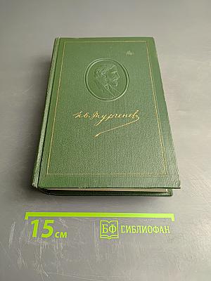 Собрание сочинений. Том десятый. Стихотворения. Поэмы. Литературные и житейские воспоминания. Переводы
