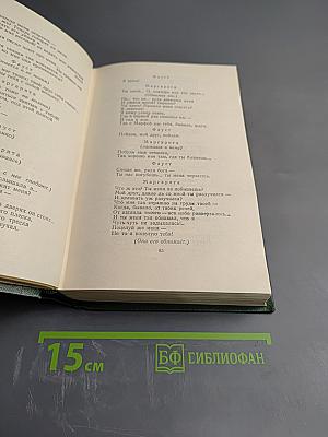 Собрание сочинений. Том десятый. Стихотворения. Поэмы. Литературные и житейские воспоминания. Переводы