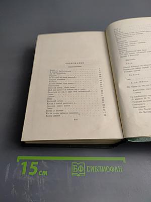 Собрание сочинений. Том десятый. Стихотворения. Поэмы. Литературные и житейские воспоминания. Переводы